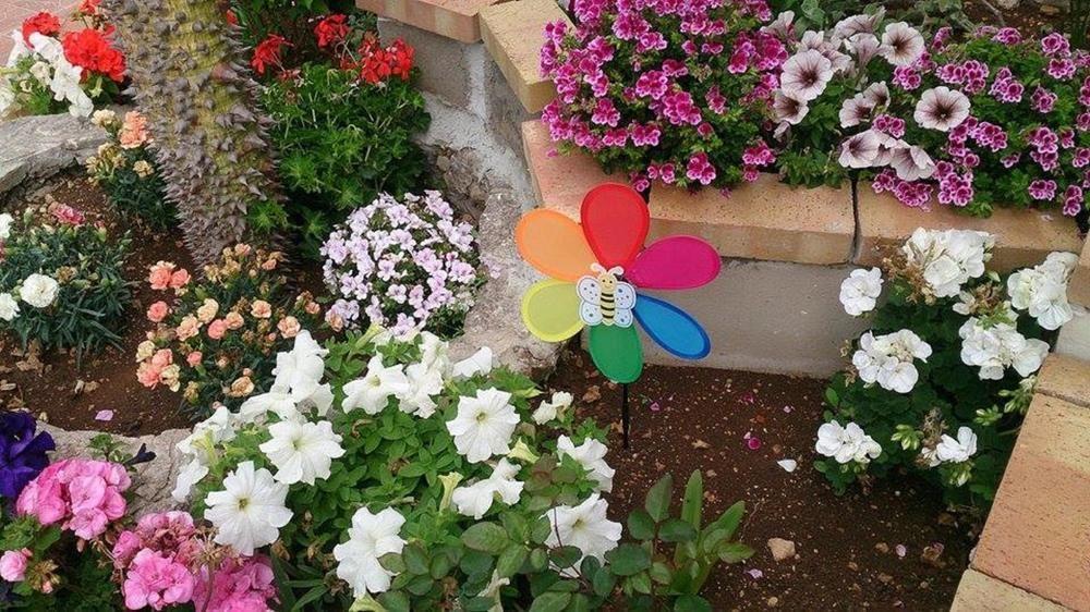 Il Mirto E La Rosa Bed & Breakfast Arenella  Exterior photo